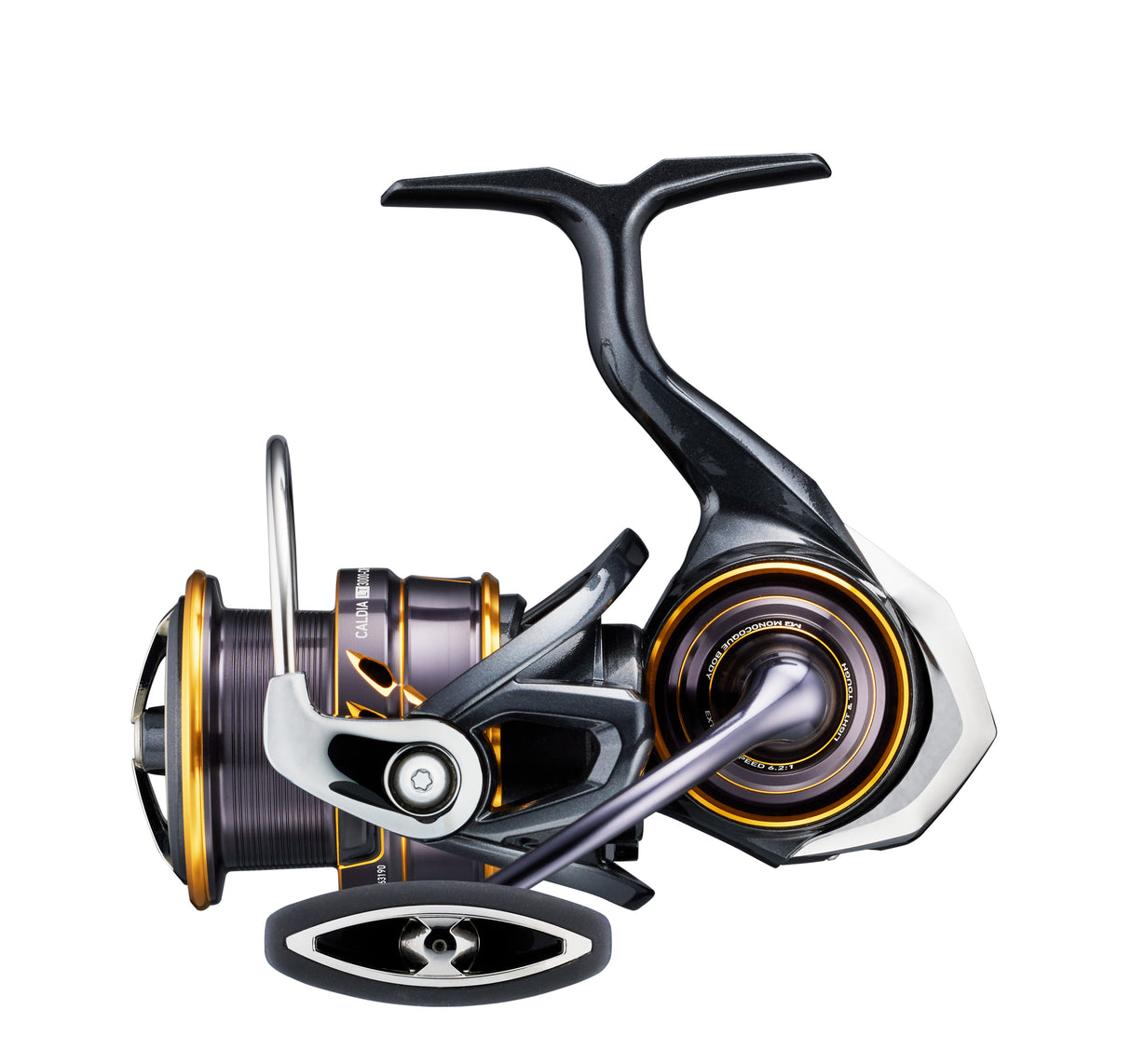 DAIWA 22 CALDIA LT Avokela